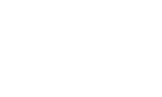 Beewize